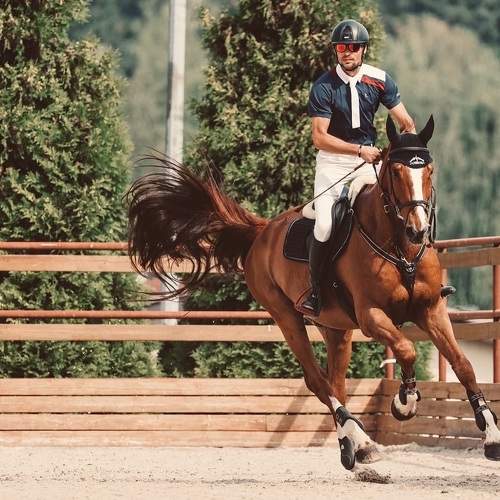 Photo #7907442