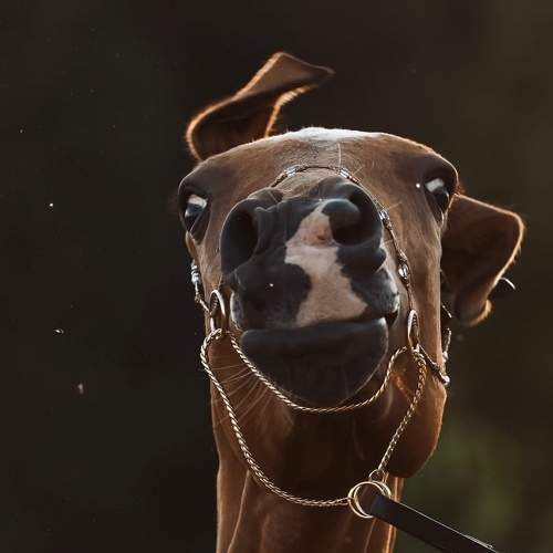 Photo #7907480