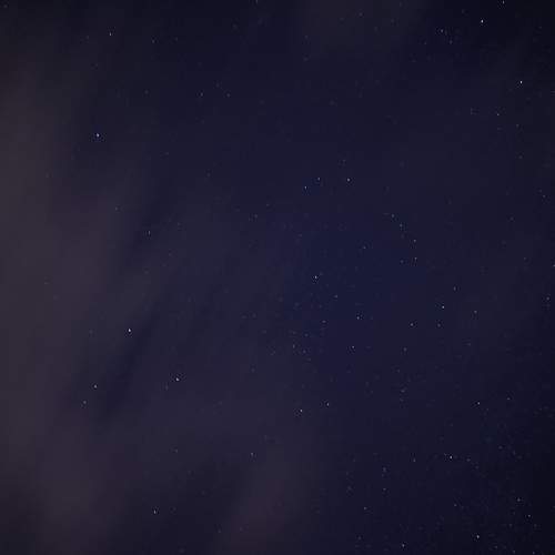 Photo #7907496