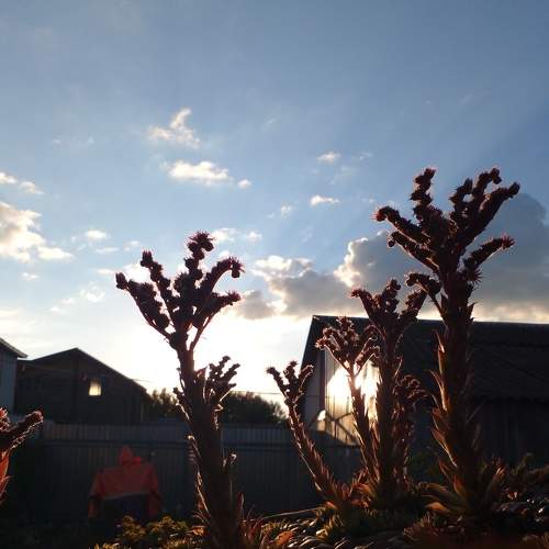 Photo #7907661