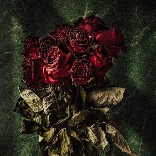Photo #7908101