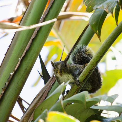 Photo #7908253