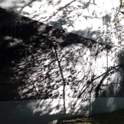 Photo #7908454