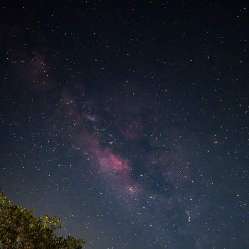 Photo #7908662