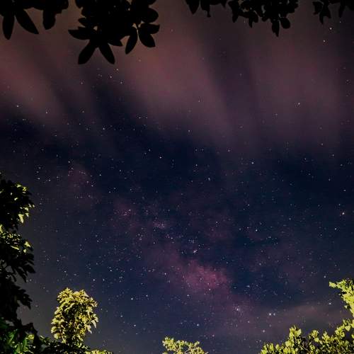 Photo #7908668