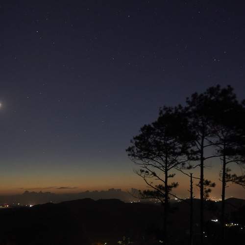 Photo #7909038