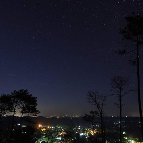 Photo #7909040
