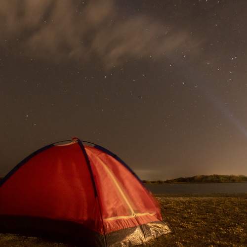 Photo #7909041