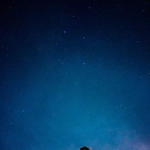 Photo #7909250