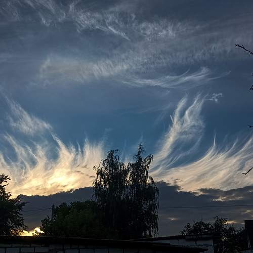 Photo #7909290