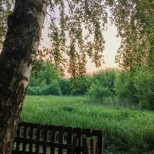 Photo #7909322