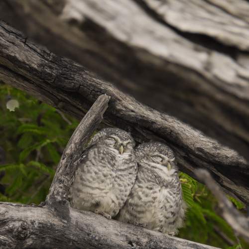 Photo #7909612