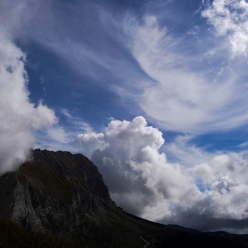 Photo #7909632
