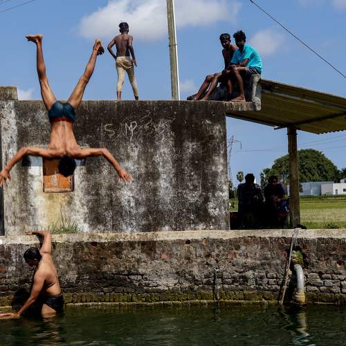 Photo #7909789