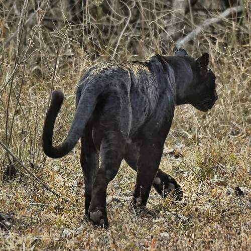 Photo #7909801