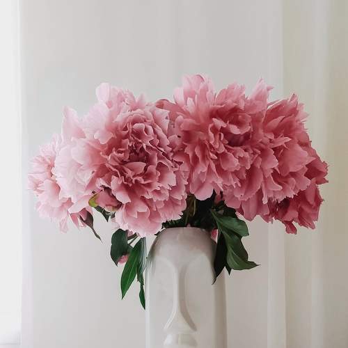 Photo #7909947