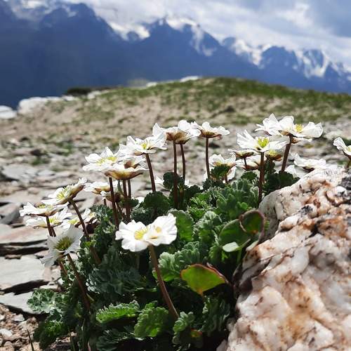 Photo #7911076