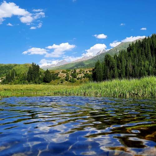 Photo #7911161