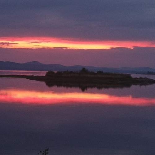 Photo #7911275