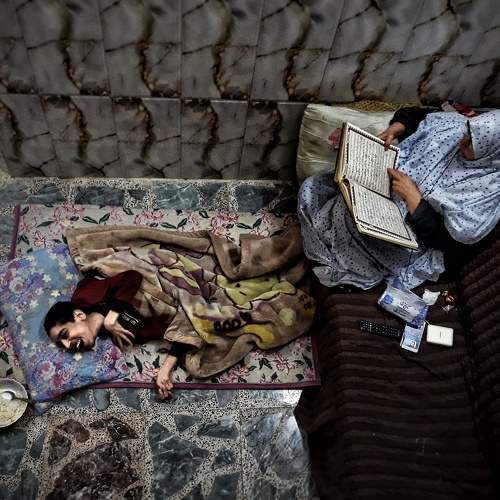 Photo #7911445