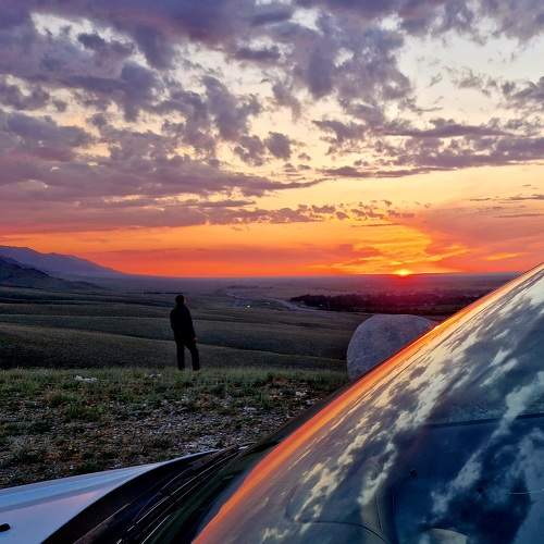 Photo #7911501