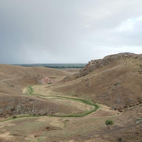 Photo #7911889