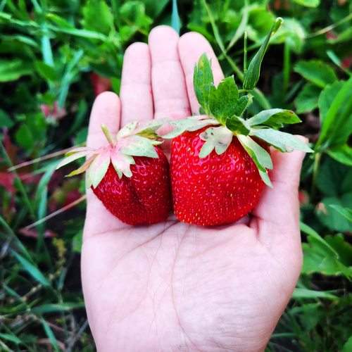 Photo #7911934