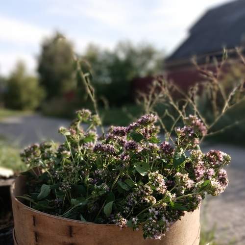 Photo #7912373