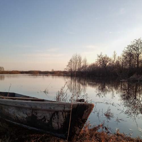 Photo #7914261