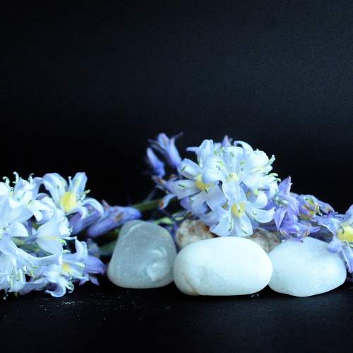 No darkness at spring