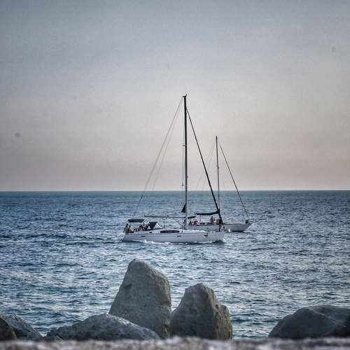 Photo #7914932
