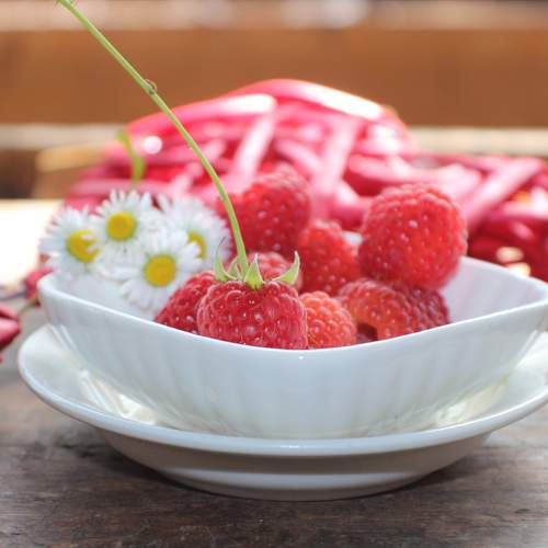 Photo #7915506