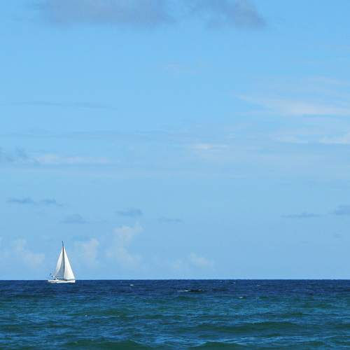 Photo #7915551