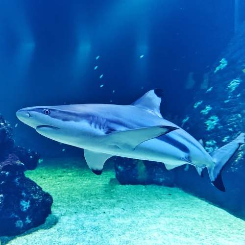 Photo #7916137