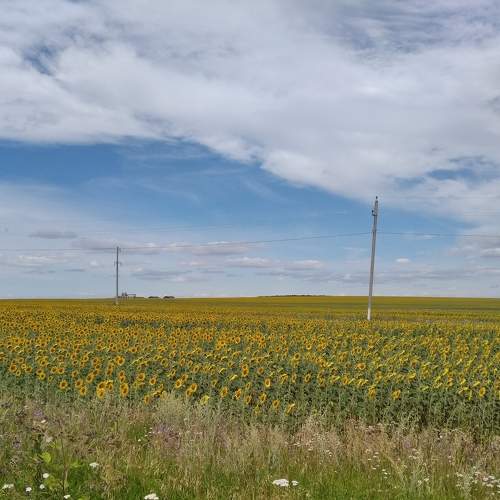 Photo #7916802