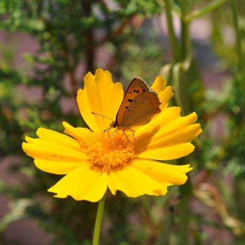 Photo #7916988
