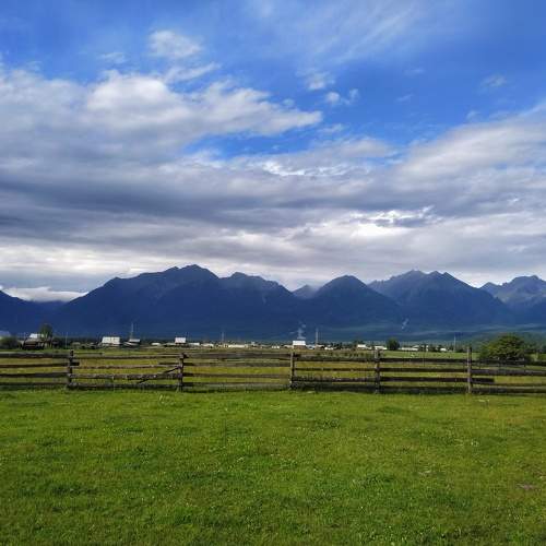 Photo #7917595