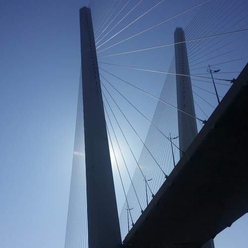 Photo #7917651