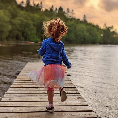 Photo #7917815