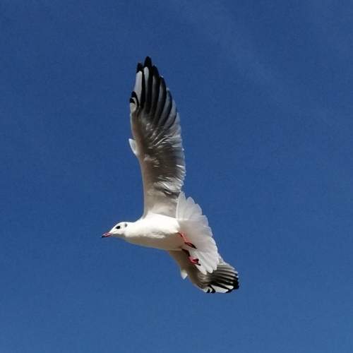 Photo #7918126