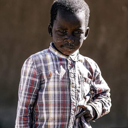 Photo #7918251