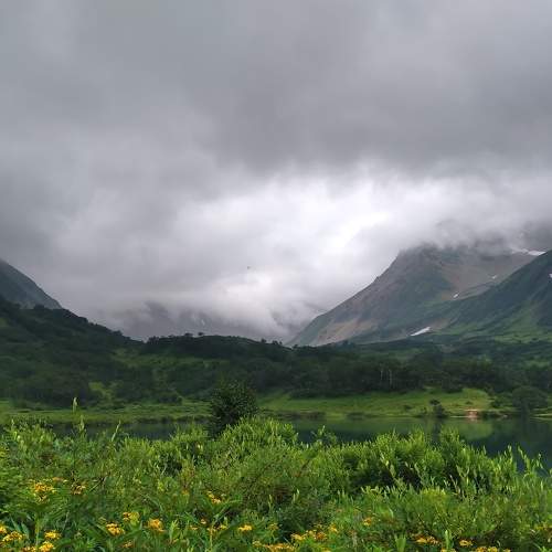 Photo #7918514