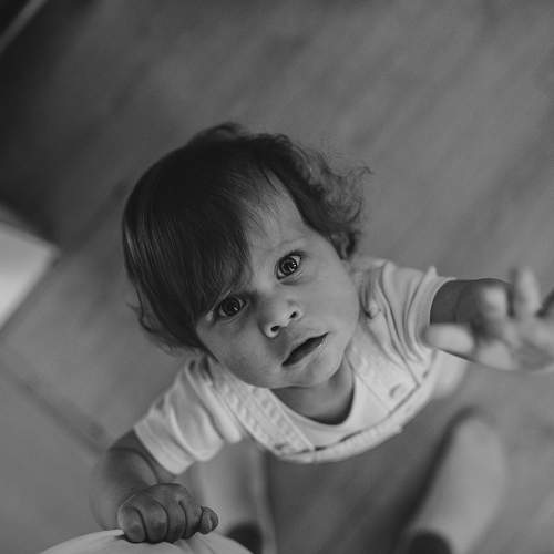 Photo #7918799