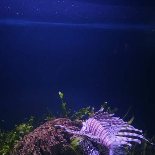 Photo #7919078