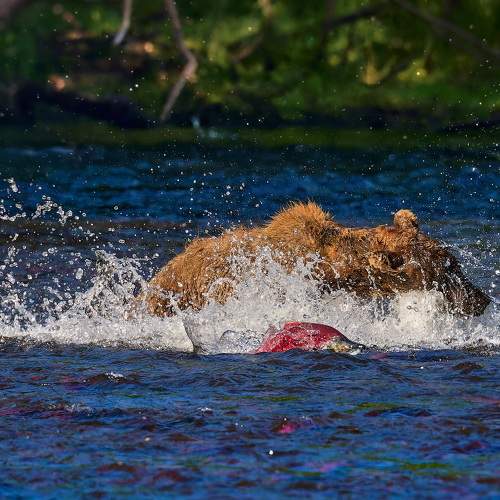 Кто быстрее!