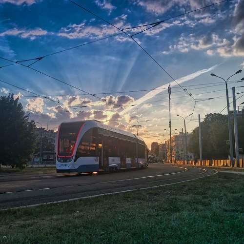 Photo #7920365