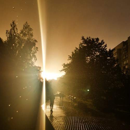 Photo #7920368