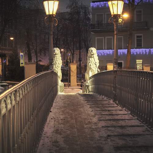 Photo #7920693