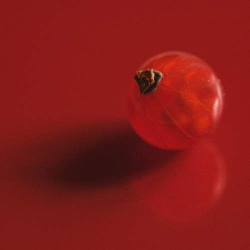 Photo #7921080