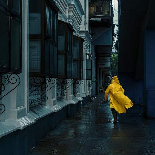 Photo #7921361